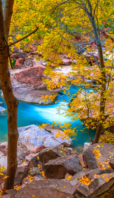 Water Wallpapers for Samsung Galaxy Z Flip7, Sony Xperia 5 II/5 III/5 V/10 IV/10 V, Xiaomi Mix Fold 3 (1080x2520): autumn, forest, stream, stones