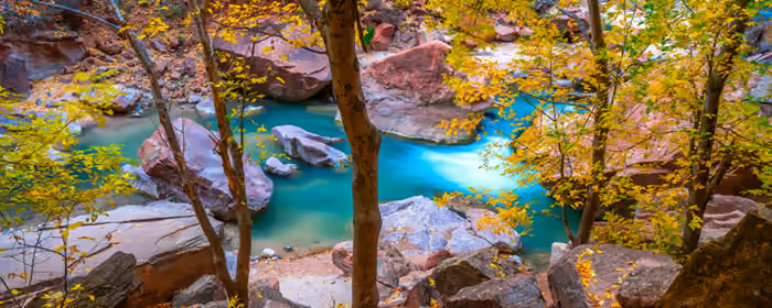 UltraWide 21:9 Nature wallpapers (2560x1080): autumn, forest, stream, stones