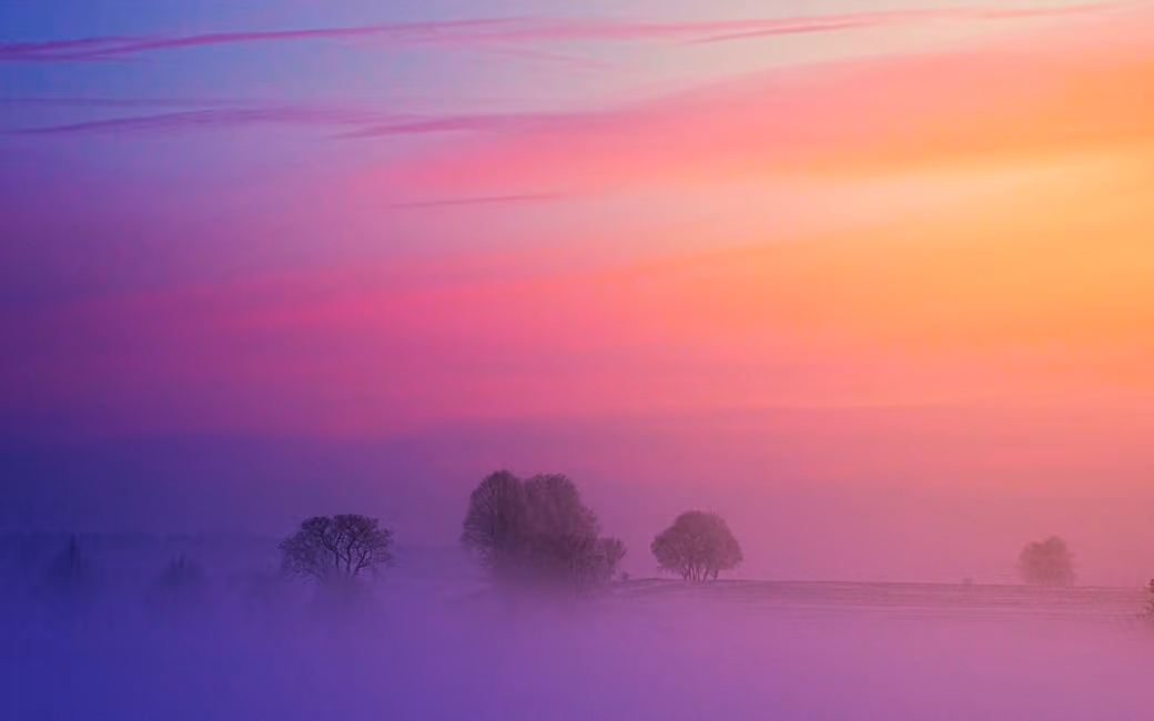 Misty Trees Under a Colorful Sunset — desktop and phone wallpaper, free download