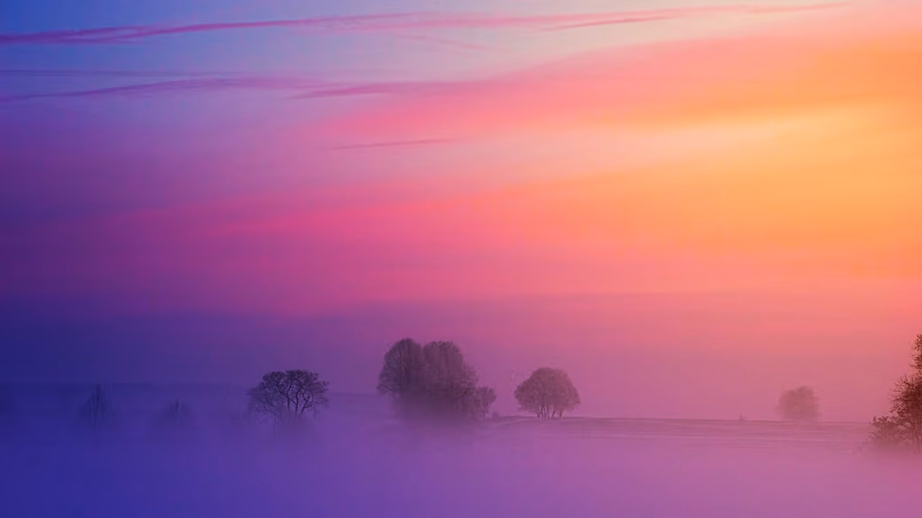 Misty Trees Under a Colorful Sunset - Wallpapers for iPhone 4/4S in 640x960 resolution