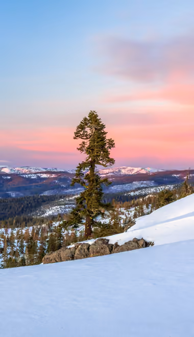 Wallpapers for iPhone 11 Pro Max (1242x2688): winter, mountains, forest, snow